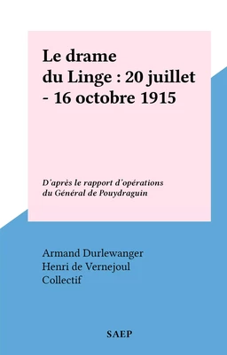 Le drame du Linge : 20 juillet - 16 octobre 1915