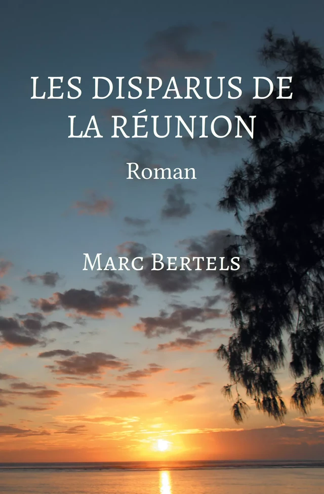 Les disparus de La Réunion - Marc Bertels - Stylit