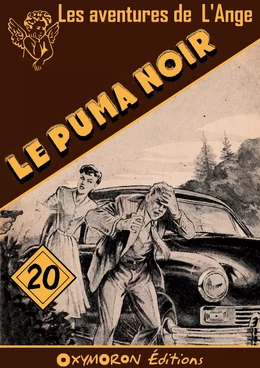 Le Puma Noir