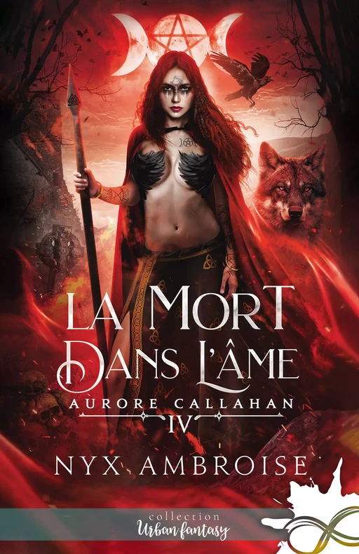 La mort dans l'âme - Nyx Ambroise - Collection Infinity