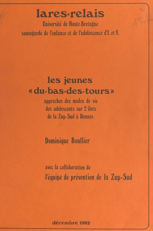 Les jeunes « du-bas-des-tours » - Dominique Boullier,  Laboratoire de recherches économiques et sociales (LARÈS),  Relais sauvegarde de l'enfance et de l'adolescence - FeniXX réédition numérique