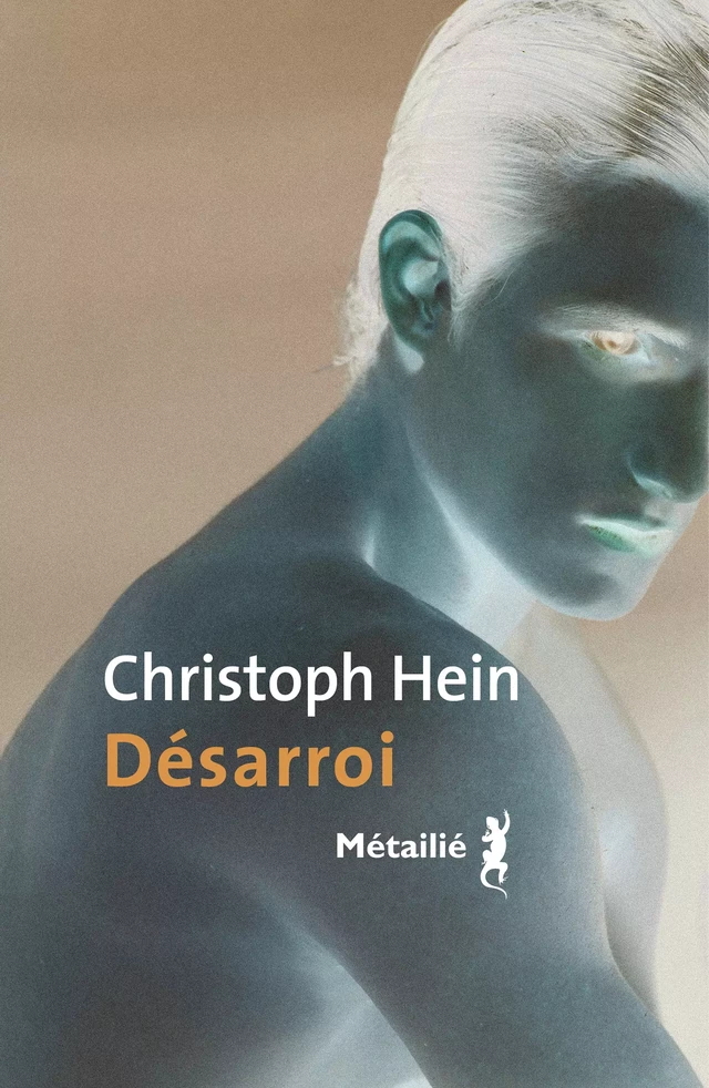 Désarroi - Christoph Hein - Métailié