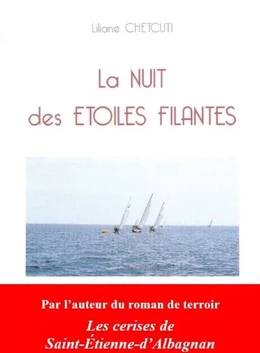 La nuit des étoiles filantes