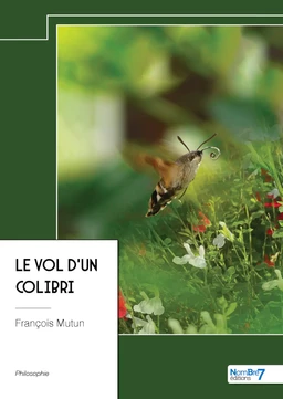 Le vol d'un colibri