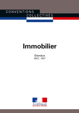 Immobilier