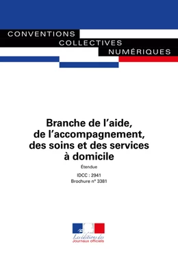 Branche de l'aide, de l'accompagnement, des soins et des services à domicile