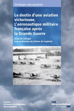 Le destin d'une aviation victorieuse