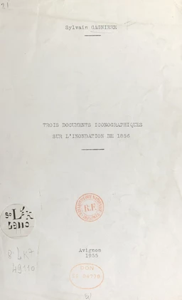 Trois documents iconographiques sur l'inondation de 1856