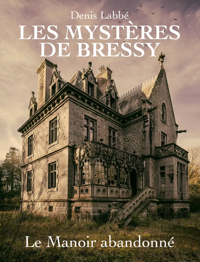 Les Mystères de Bressy - Tome I Le manoir abandonné - Denis Labbé - Mage Editions