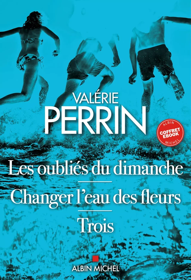 Coffret Valérie Perrin - Intégrale - Valérie Perrin - Albin Michel