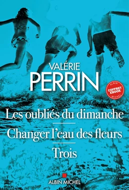 Coffret Valérie Perrin - Intégrale