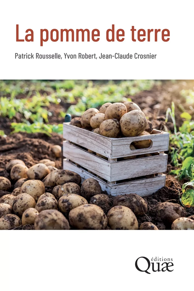 La pomme de terre - Patrick Rousselle, Yvon Robert, Jean-Claude Crosnier - Qu