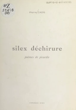 Silex déchirure