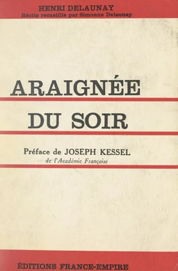 Araignée du soir