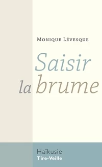 Saisir la brume