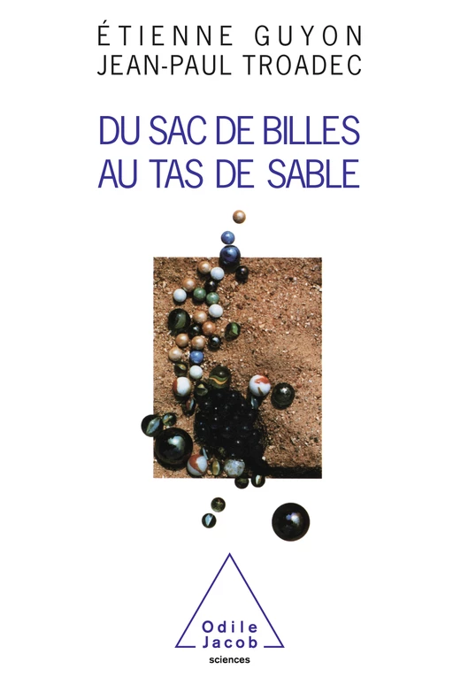 Du sac de billes au tas de sable - Étienne Guyon, Jean-Paul Troadec - Odile Jacob