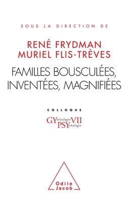 Familles bousculées, inventées, magnifiées