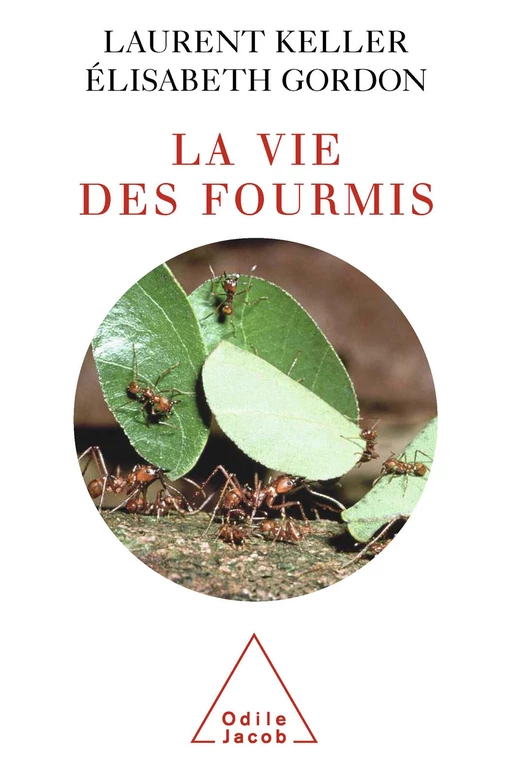 La Vie des fourmis - Laurent Keller, Élisabeth Gordon - Odile Jacob