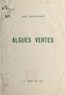 Algues vertes