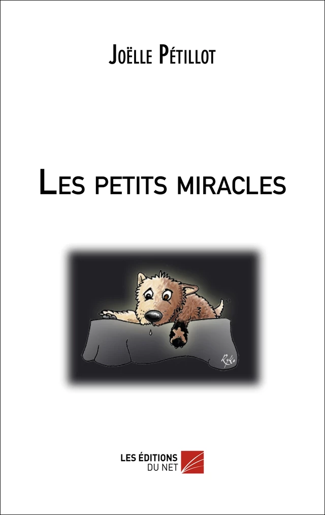 Les petits miracles - Joëlle Pétillot - Les Éditions du Net