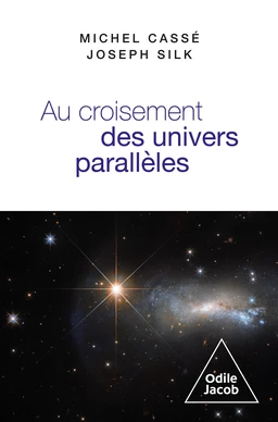 Au croisement des univers parallèles