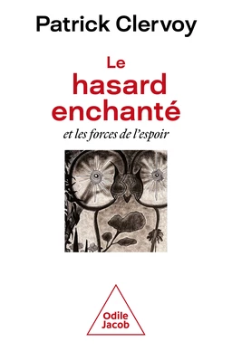 Le Hasard enchanté