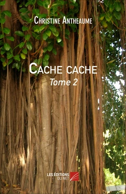 Cache cache