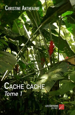 Cache cache