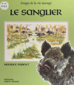 Le sanglier