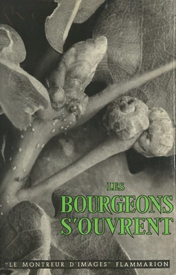 Les bourgeons s'ouvrent