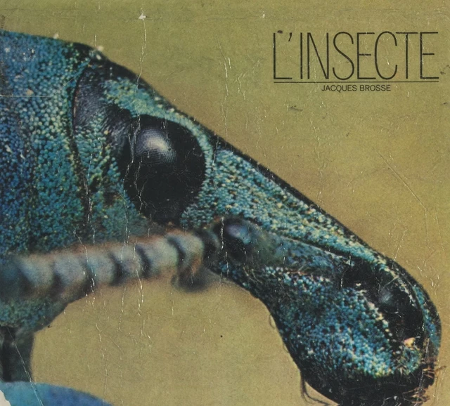 L'insecte - Jacques Brosse - FeniXX réédition numérique