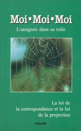 Moi moi moi, l'araignée dans sa toile