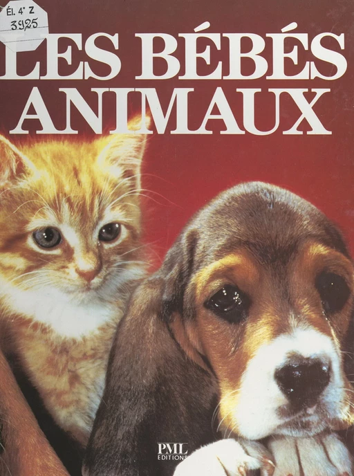 Les bébés animaux - Tessa Board - FeniXX réédition numérique