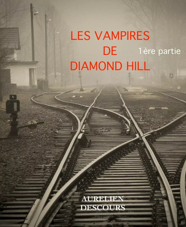 LES VAMPIRES DE DIAMOND HILL - AURELIEN DESCOURS - Bookelis