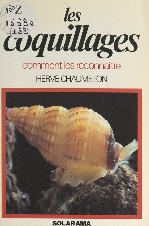 Les coquillages - Hervé Chaumeton - FeniXX réédition numérique