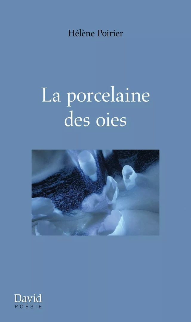 La porcelaine des oies - Hélène Poirier - Éditions David