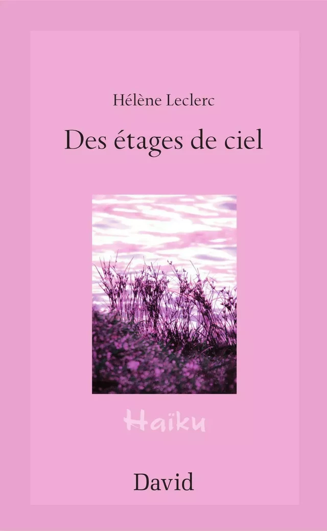 Des étages de ciel - Hélène Leclerc - Éditions David