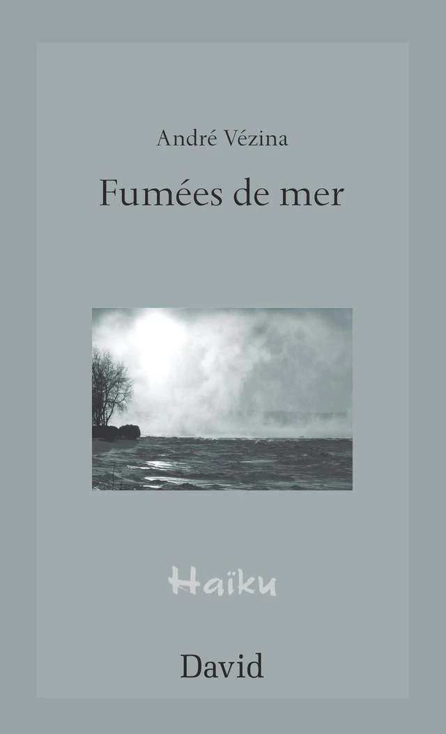 Fumées de mer - André Vézina - Éditions David