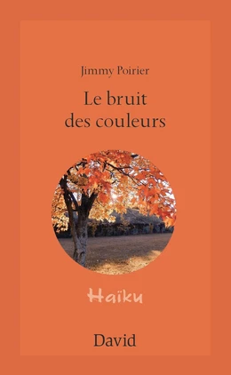 Le bruit des couleurs