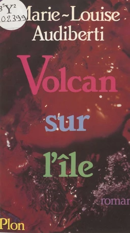 Volcan sur l'île