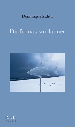 Du frimas sur la mer