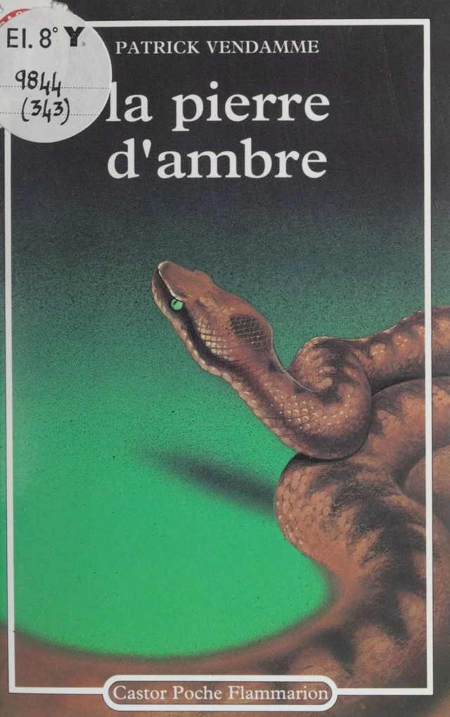 La Pierre d'ambre - Patrick Vendamme - Flammarion Jeunesse (réédition numérique FeniXX)