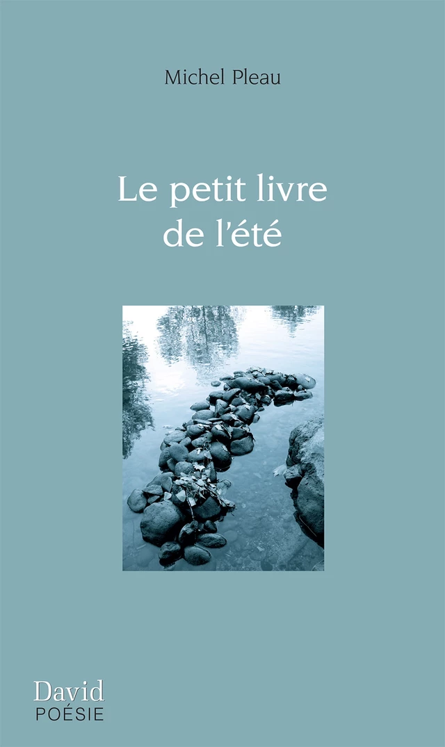 Le petit livre de l’été - Michel Pleau - Éditions David