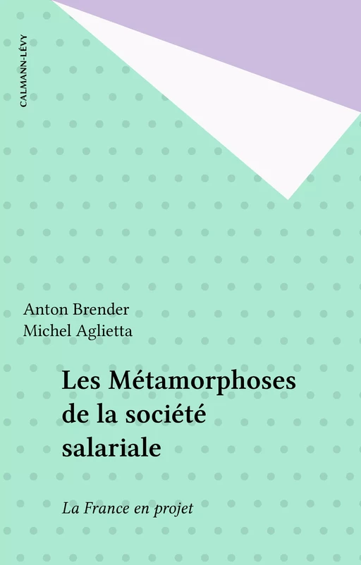 Les Métamorphoses de la société salariale - Anton Brender, Michel Aglietta - Calmann-Lévy (réédition numérique FeniXX)