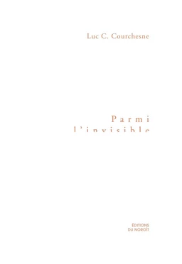 Parmi l'invisible