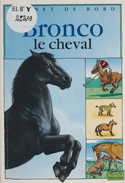 Bronco le cheval