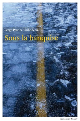 Sous la banquise