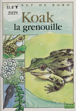 Koak la grenouille