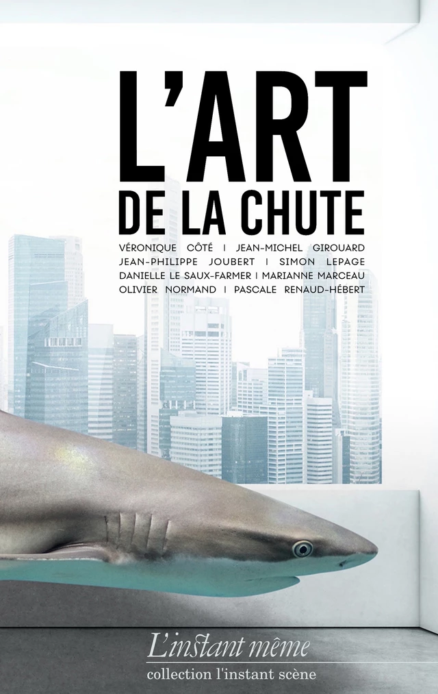 Art de la chute (L') - Véronique Côté, Jean-Michel Girouard, Jean-Philippe Joubert, Simon Lepage, Danielle Le Saux-Farmer, Marianne Marceau, Olivier Normand, Pascale Renaud-Hébert - Éditions de L'instant même