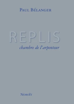 Replis, chambre de l'arpenteur